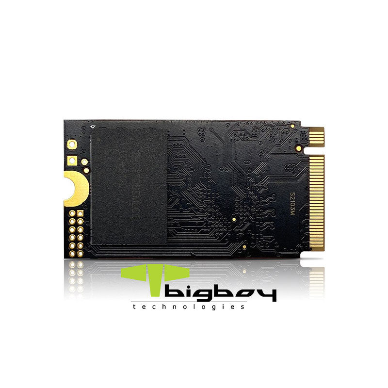 Bigboy 256GB 22x42mm PCIe 3.0 x4 M.2 NVMe Notebook SSD