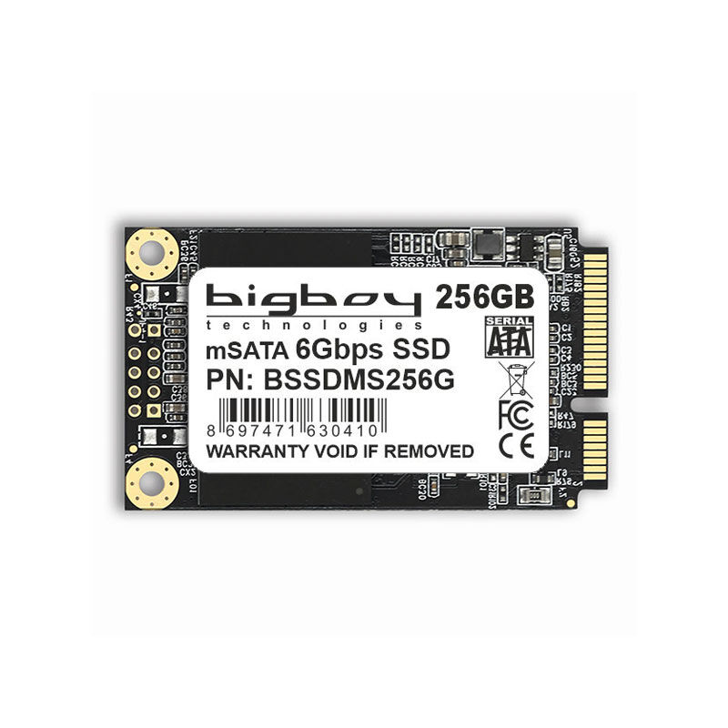 Bigboy 256GB mSata Sata3 Notebook SSD