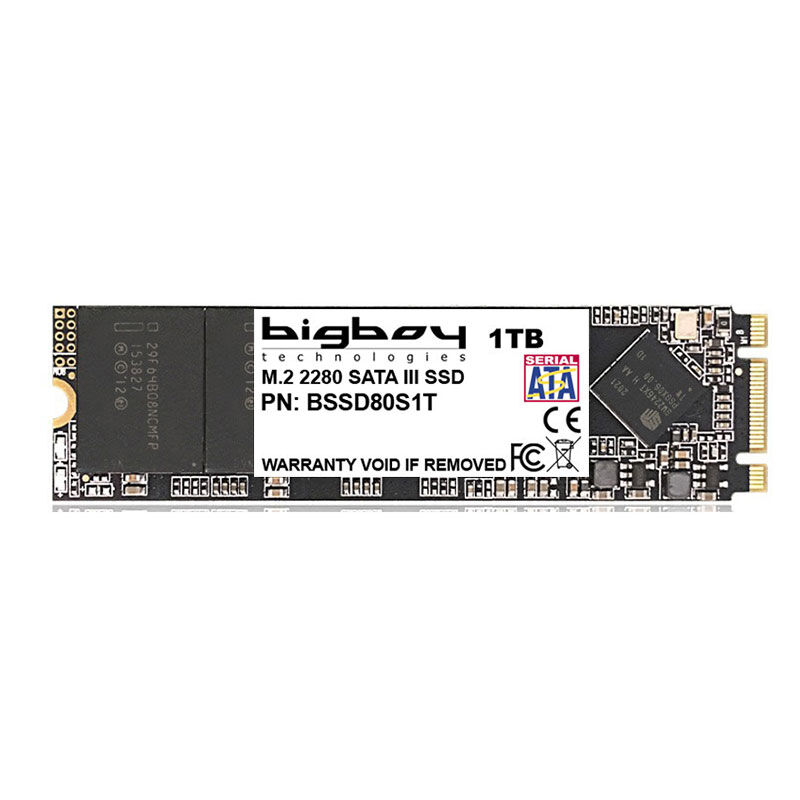 Bigboy 1TB 22x80mm M.2 Sata 3 Notebook SSD