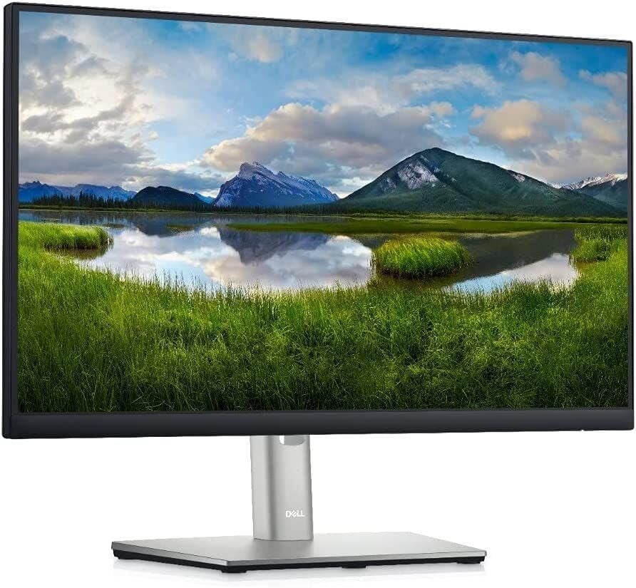 Dell  P2222H - 54.6cm (21.5'')