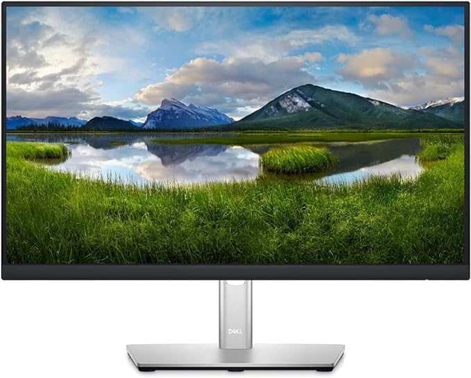 Dell 24 Monitor - P2423D - 60.5cm (23.8'')