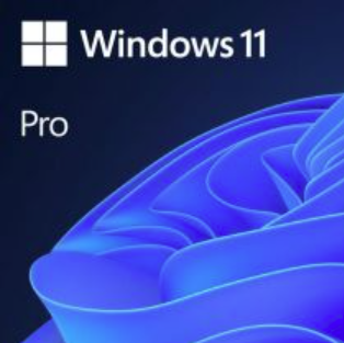 Microsoft Windows 11 Pro 64BIT TR OEM FQC-10556