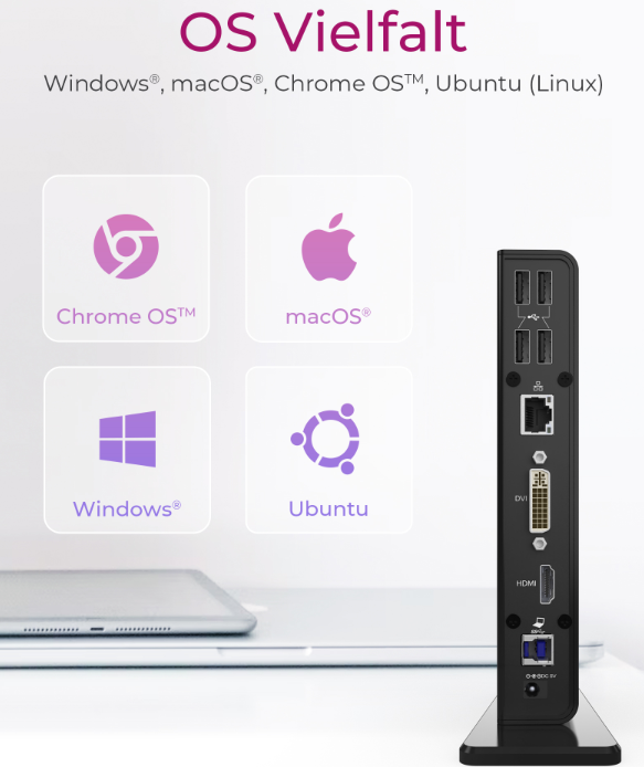 ICY BOX DK2241AC USB Type-C® Notebook DockingStation 2 Monitör