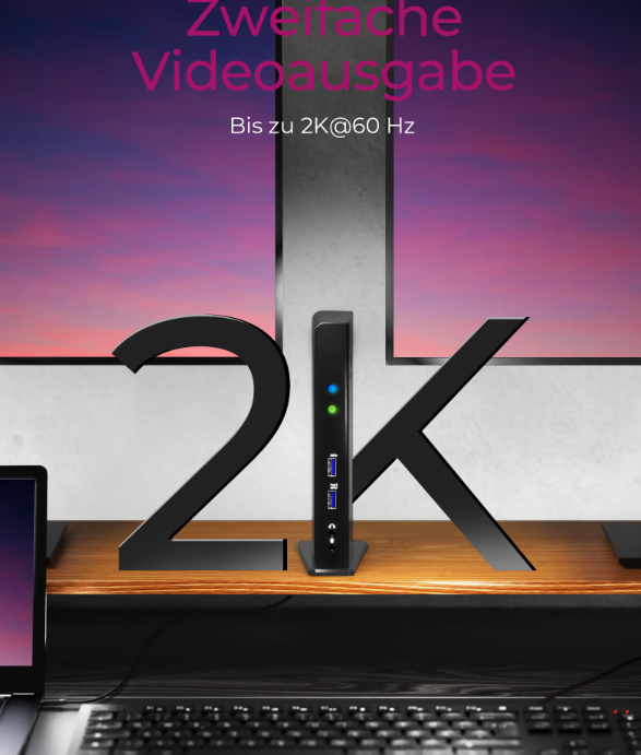 ICY BOX DK2241AC USB Type-C® Notebook DockingStation 2 Monitör