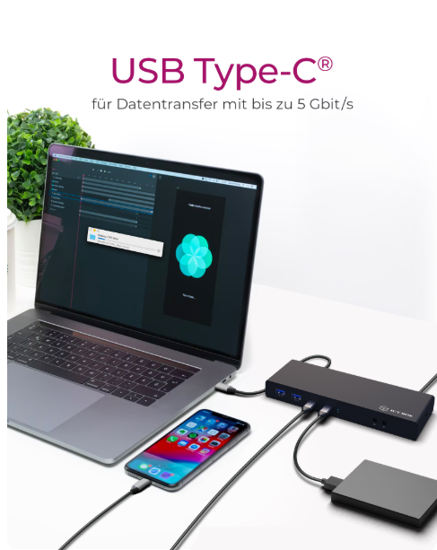 ICY BOX Notebook DockingStation 2 Monitör  USB3.2&Type-C®  DK2245